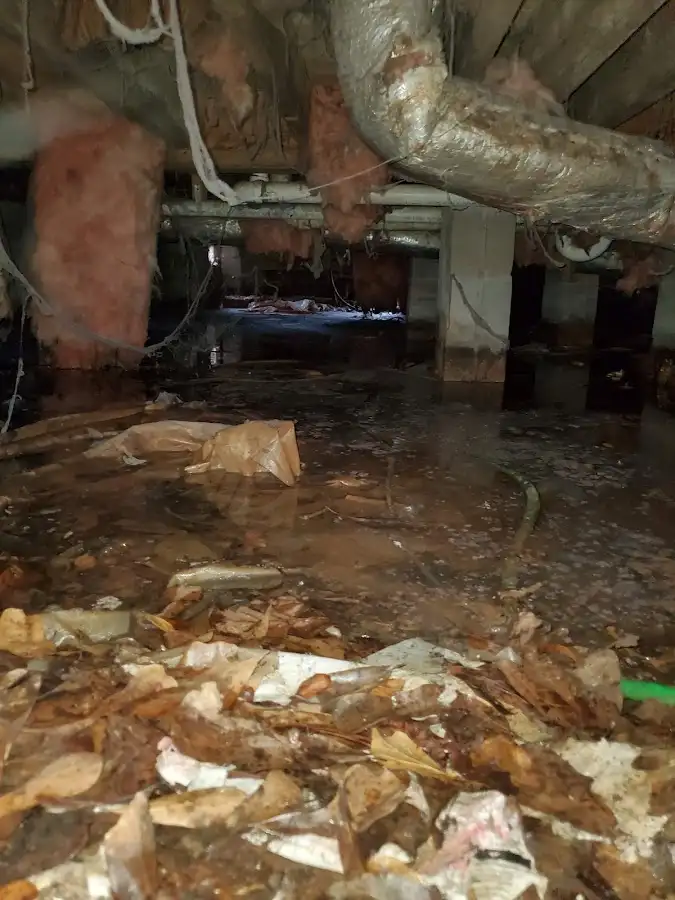 Crawl space flood assessment for Leak Detection & Repair in Rotterdam
