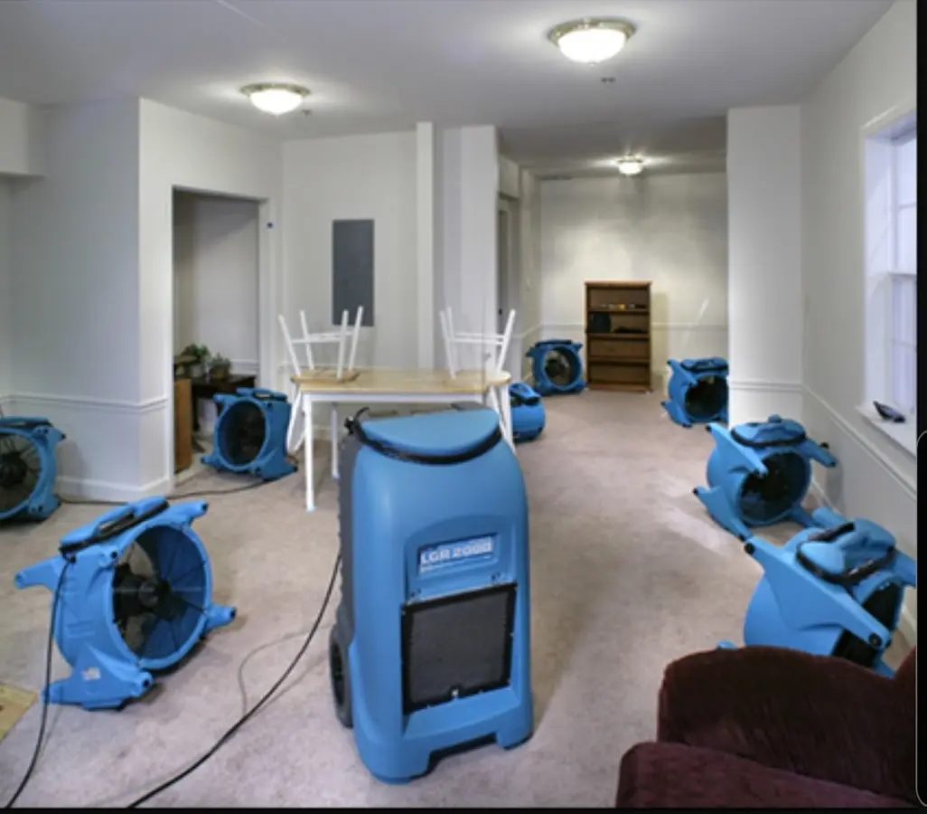 Air movers and dehumidifier setup for Water Extraction & Removal in Rotterdam